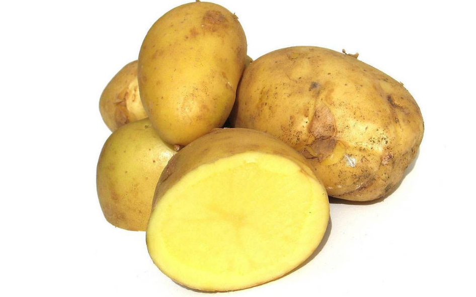 比熊上火有泪痕?这些食物,都是泪痕的“克星”(比熊有泪痕什么原因)(图5)