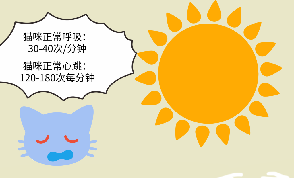 猫咪的最舒适温度是多少？猫是怎么中暑的？(图5)
