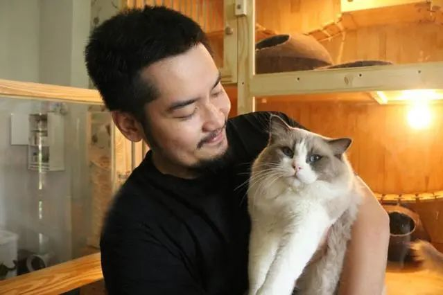 男子花数十万养猫妻子无法忍受和他离婚，网友：要猫不要媳妇(图1)