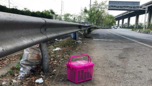 路边发现一个篮子，打开后竟是一箱小猫，这么可爱怎么忍心丢弃？(图2)