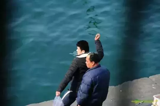 流浪狗见人蹲下后马上跑开，路人用三招吓退狗狗（流浪狗见人就叫怎么办）(图4)