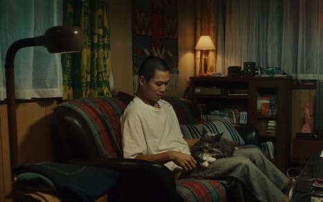 日本Google猫奴系列广告 7种只有内行人才懂的瞬间(图1)