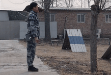 流浪猫升级为“特种猫”，网友：厉害！(图1)