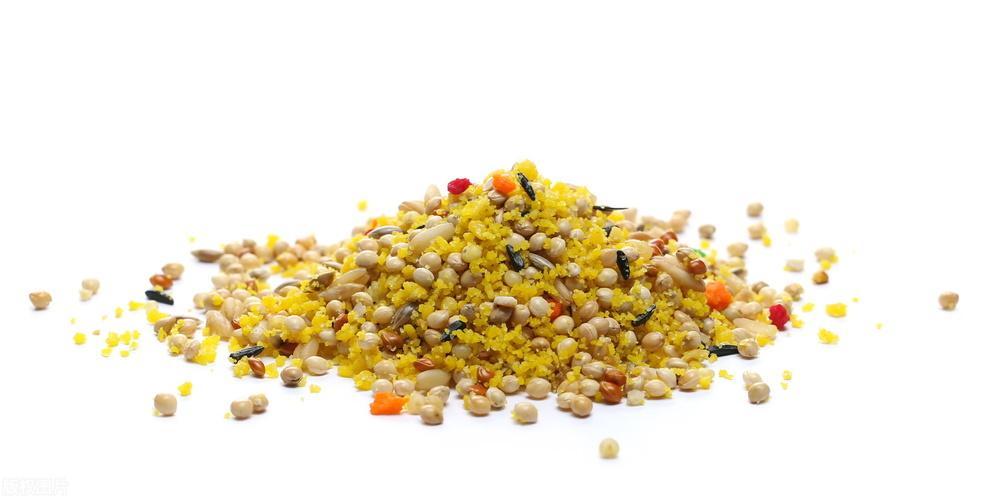 如何让鹦鹉顺利繁殖？繁殖前这些准备要做到位！（怎么让鹦鹉繁殖生蛋快一点）(图3)