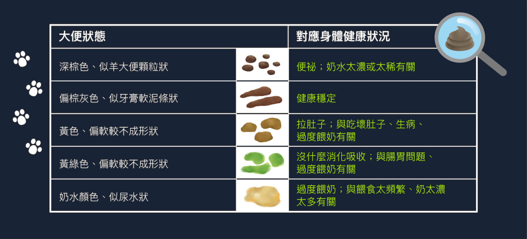 幼猫排便与饮食的关系及喂食方式（幼猫排便怎么处理）(图2)