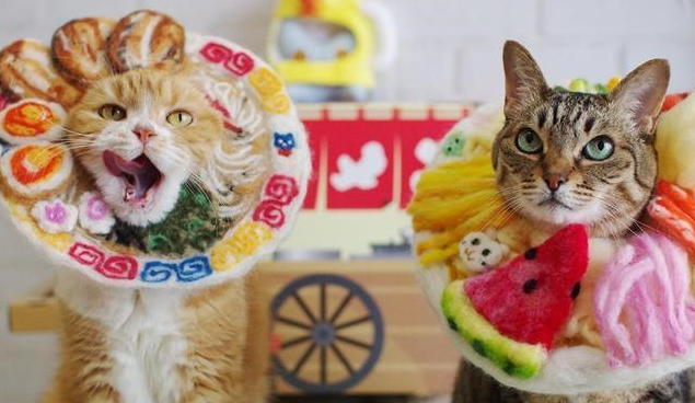 主人为猫咪自制数十款创意头套，逼真精美，论打扮，你比得过她吗(图1)