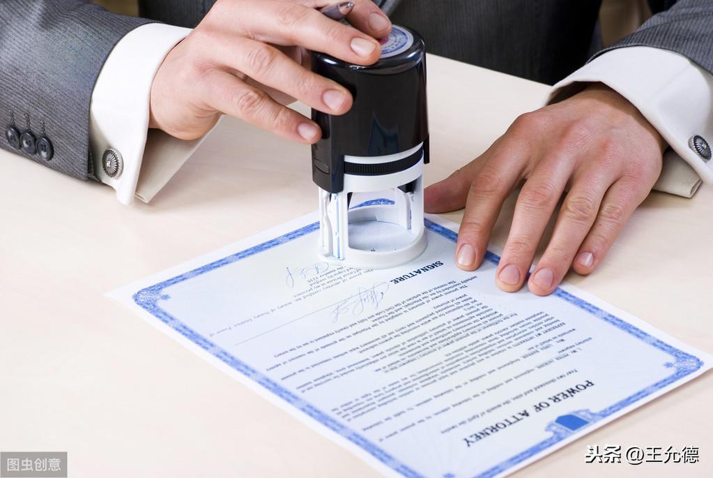 狗狗纯不纯是看血统证书并不是看长相？（狗的血统证书怎么查）(图5)