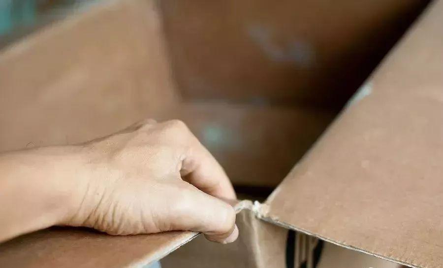 家里来了狗宝宝要怎么照顾?(家里来了狗宝宝要怎么照顾才好)(图1)