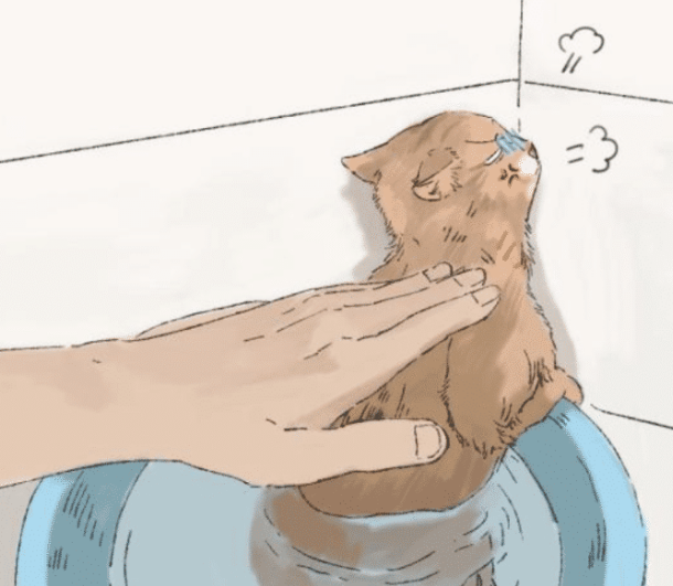 女子给猫咪洗澡，中途出去接了个电话，再回来一看顿时心虚了(图2)
