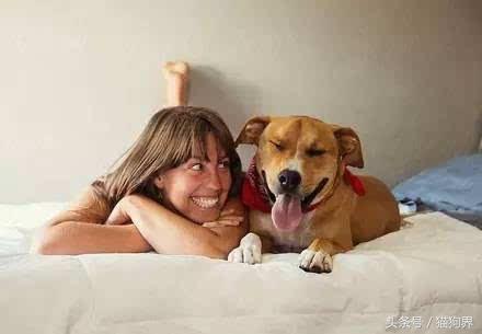 教狗学会跟着主人走，学会这两招，遛狗才是一种享受（怎么教狗狗跟随）(图1)