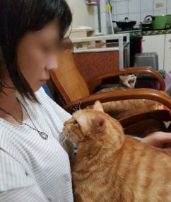不哭不哭 眼泪是珍珠！生病橘猫看到药袋泛泪(图2)