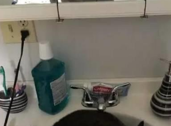 你家喵钻过的最小空间是什么？看看网友家的猫都奇葩到什么地步(图10)