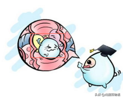 牛奶、羊奶、酸奶、脱脂奶选的不对，只会增加狗狗肠胃负担？（狗喝羊奶和羊奶粉哪个更好一些）(图1)