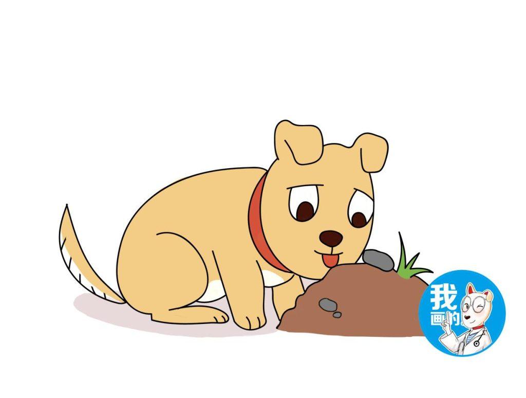 狗狗患上佝偻病，光照不足是关键，可别让拴养害了狗狗（狗狗得佝偻病现象是什么）(图4)