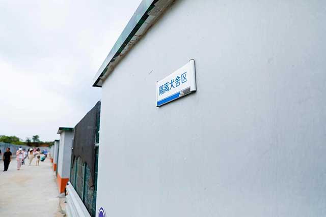 探访青岛市犬只收养服务基地,想养狗狗这儿可以免费领养(青岛有没有领养宠物的微信群)(图4)