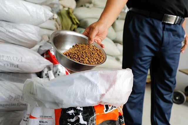 探访青岛市犬只收养服务基地,想养狗狗这儿可以免费领养(青岛有没有领养宠物的微信群)(图3)