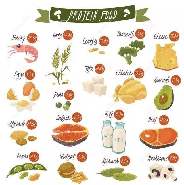 南极磷虾中Omega-3对宠物健康有哪些益处？（南极磷虾的功效作用）(图2)