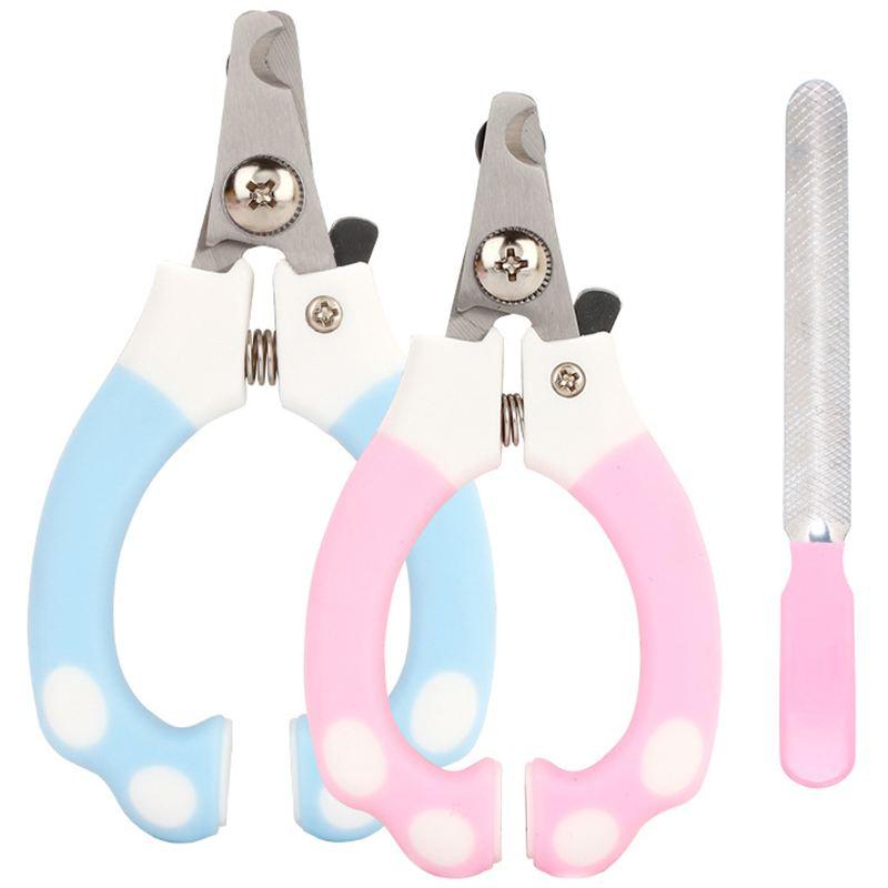 怎么给泰迪剪指甲?小心稍有不慎,血流成河(泰迪狗狗剪指甲怎么剪)(图3)