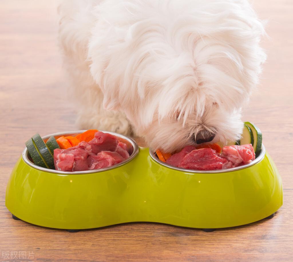 自制狗粮食材怎么搭配？（自制狗粮食材）(图1)