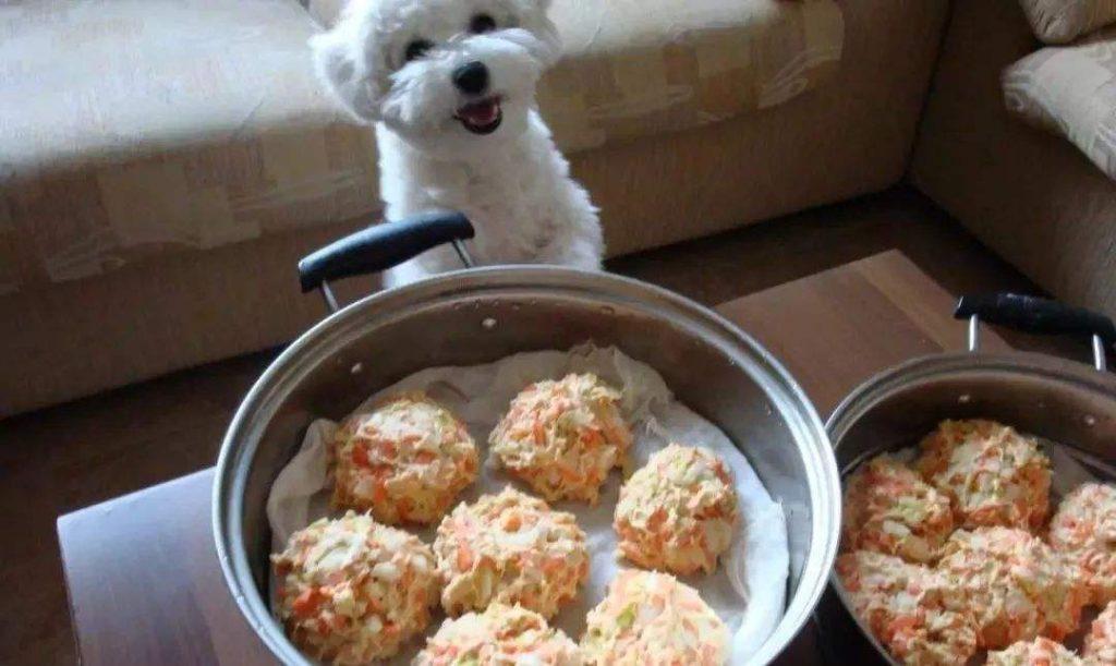 自制狗粮食材怎么搭配？（自制狗粮食材）(图5)