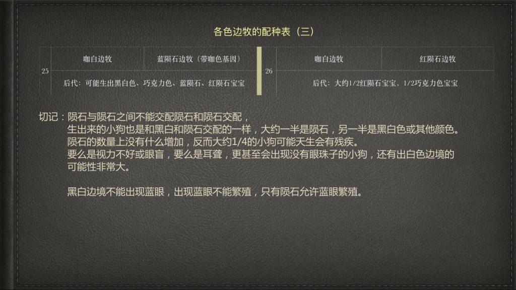 边牧各种颜色怎么生？边牧毛色的“遗传密码”（边牧所有颜色）(图6)