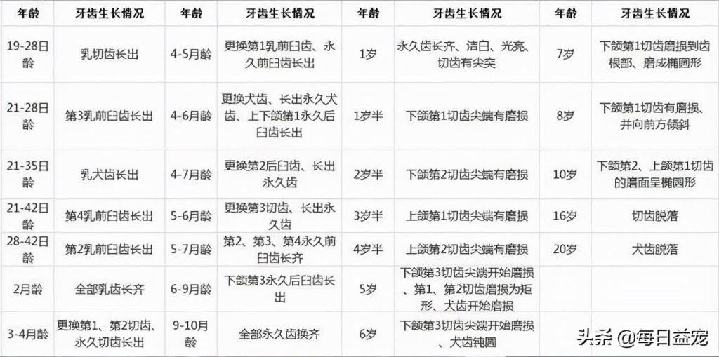 怎么判断狗狗的年龄，看这4个地方，再也不怕被骗了（如何判断狗的年龄段）(图2)