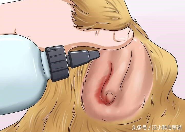 当狗狗受伤,实用土办法教你给狗狗止血!(狗狗受伤用什么止血)(图3)