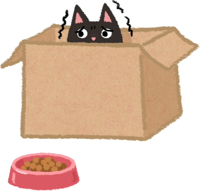 家中一来人，宠物就不肯吃饭？（家里来人猫咪不吃饭了怎么办）(图2)