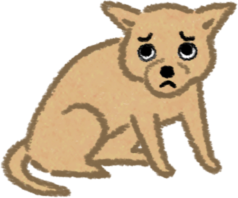 家中一来人,宠物就不肯吃饭?(家里来人猫咪不吃饭了怎么办)(图3)