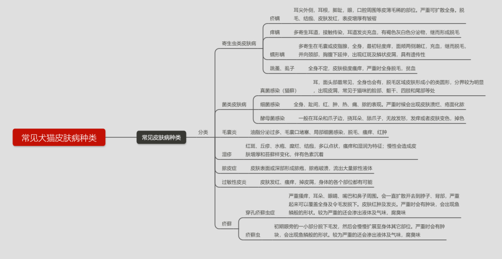 犬猫最容易被误诊的皮肤病——内分泌紊乱（猫咪内分泌失调会发生皮肤病吗）(图1)