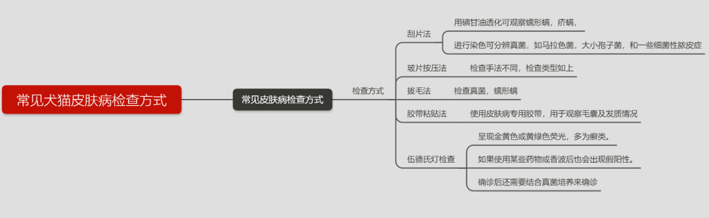 犬猫最容易被误诊的皮肤病——内分泌紊乱（猫咪内分泌失调会发生皮肤病吗）(图2)