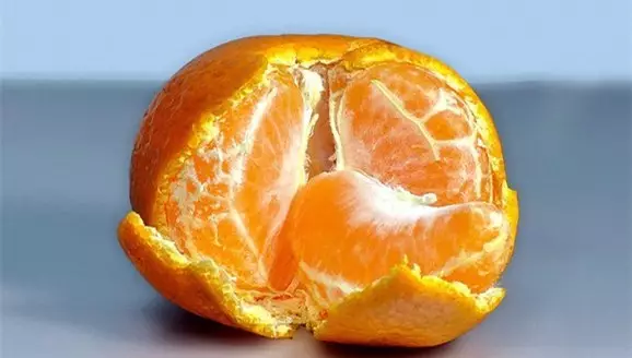 老祖宗去跳蚤的“偏方”，流传至今很有用（跳蚤用什么去除）(图5)