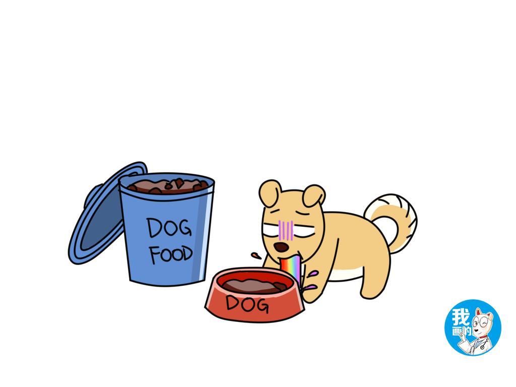 狗狗突然呕吐？狗狗有哪些比较常见的呕吐原因？（狗狗突然呕吐怎么办?）(图2)