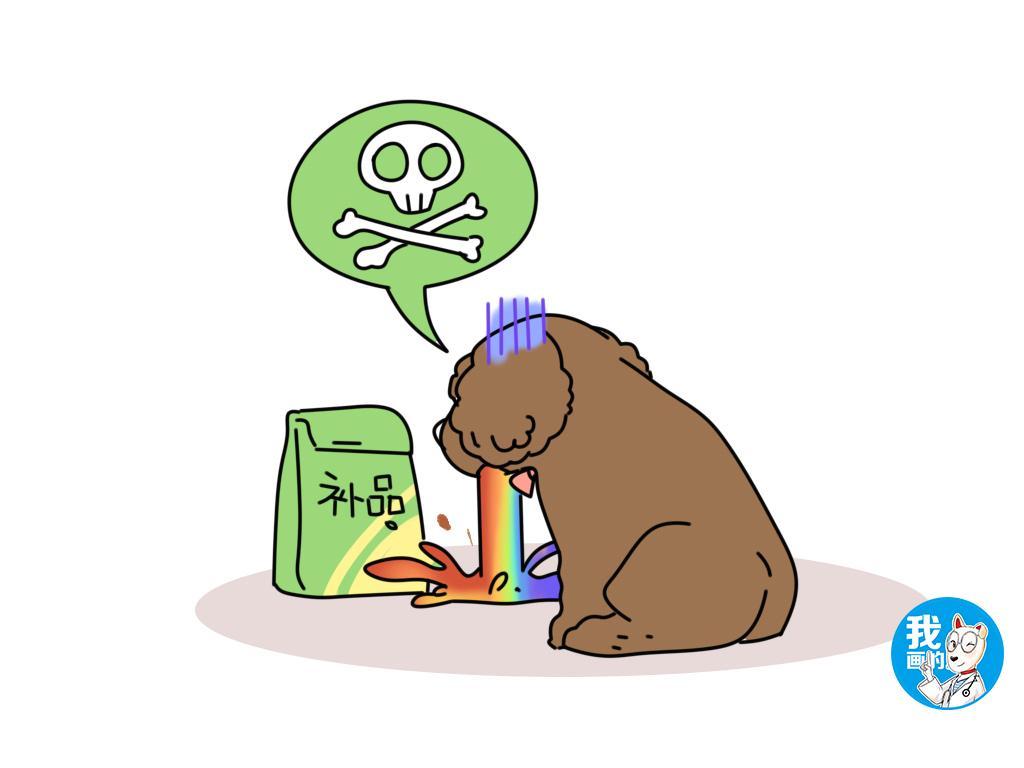 狗狗突然呕吐?狗狗有哪些比较常见的呕吐原因?(狗狗突然呕吐怎么办?)(图1)