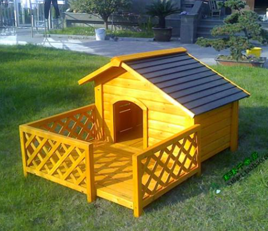 手把手教你，用最少的钱养狗！（养狗最便宜的方法）(图4)