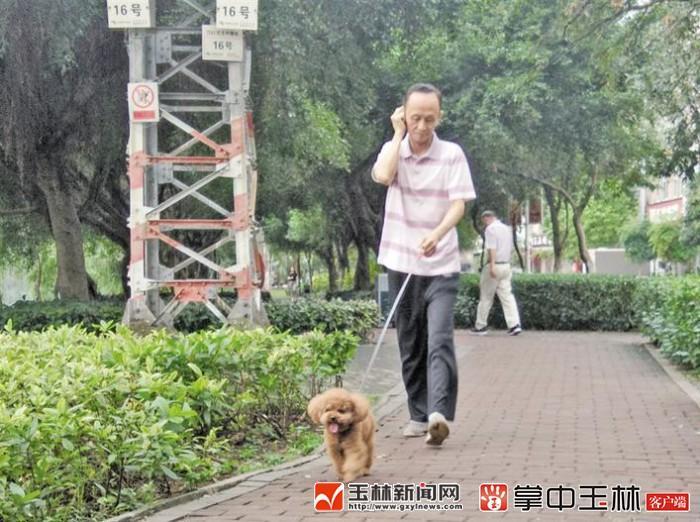 遛狗拴绳入法，点赞之余还需落实（遛狗拴狗绳规定）(图1)