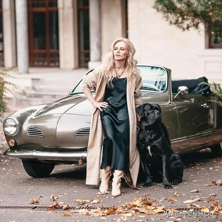 百科 | 卡斯罗，古罗马的农场护卫萌犬（卡斯罗马犬哪个好）(图3)