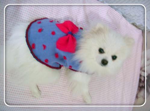 天冷了，自己动手给狗狗做好漂亮衣服吧，关键环保又充实（给狗狗制作衣服简单教程）(图8)