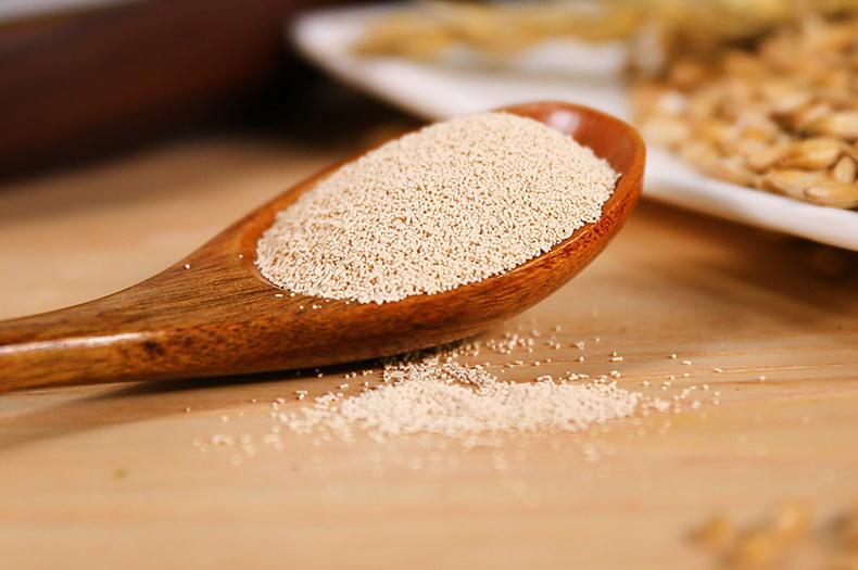 终于，找到金毛犬去“跳蚤”的6大秘诀了（金毛去跳蚤用什么便宜药最好使）(图4)