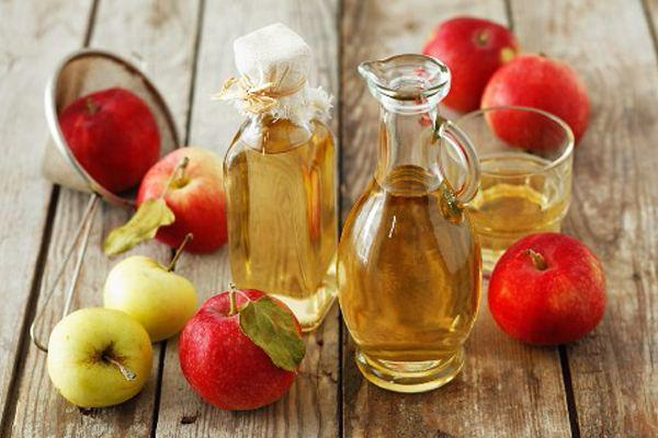 终于，找到金毛犬去“跳蚤”的6大秘诀了（金毛去跳蚤用什么便宜药最好使）(图5)