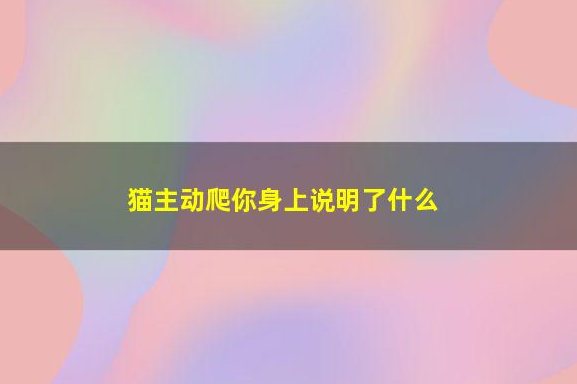 猫主动爬你身上，说明了什么？(图1)