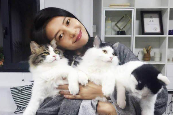 两猫对峙一只猫叫一只猫不叫呢?(图2)