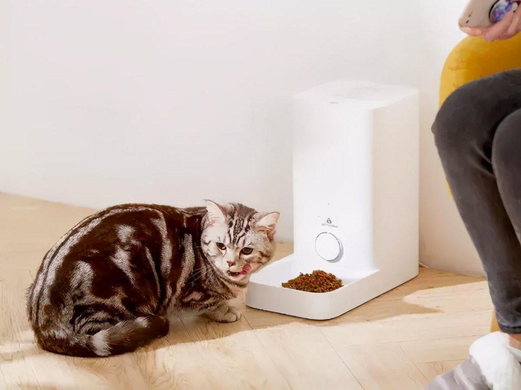 猫咪每天到底该吃多少？拒绝自助餐式喂养(图3)