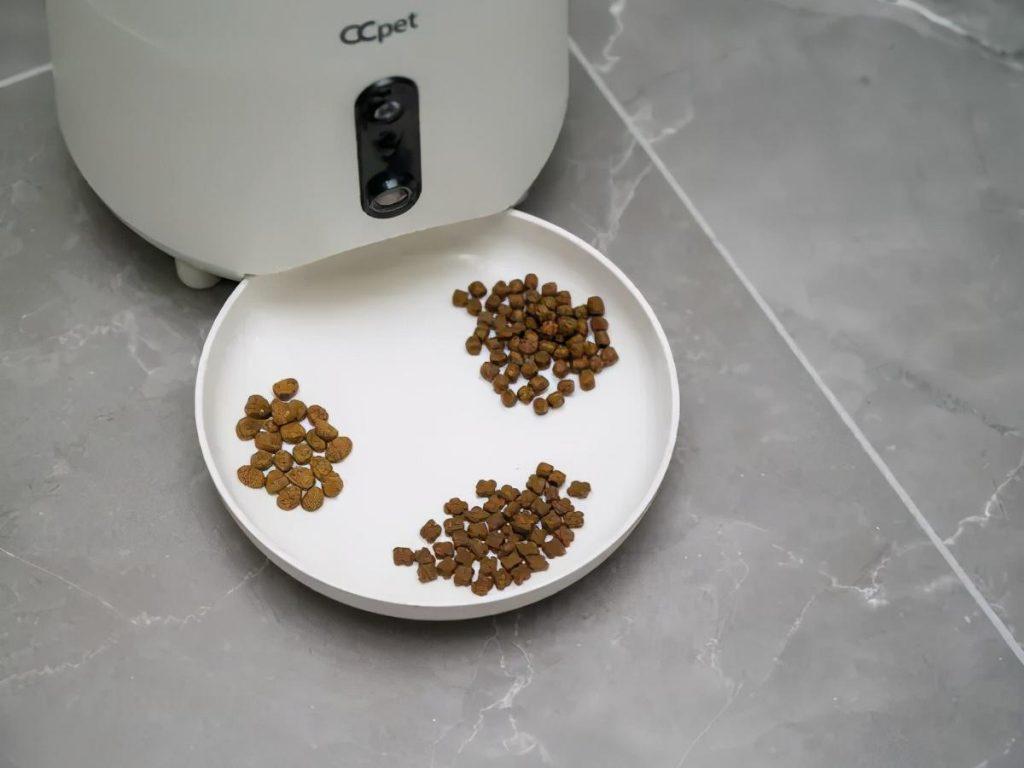 猫咪每天到底该吃多少？拒绝自助餐式喂养(图9)