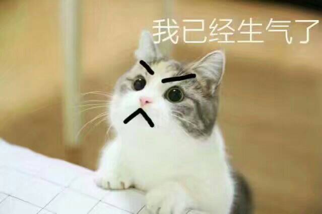 猫咪为什么会生气?猫咪发脾气的原因(图1)