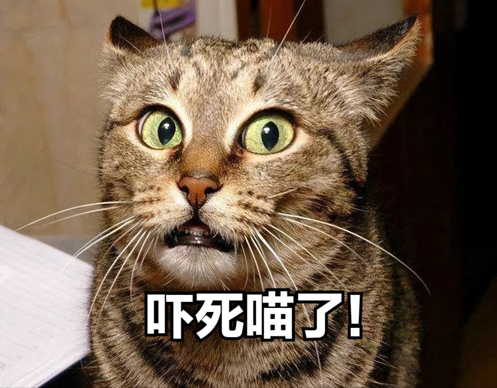 有什么事情是猫咪害怕的？（不能对猫咪做的事有什么？）(图1)