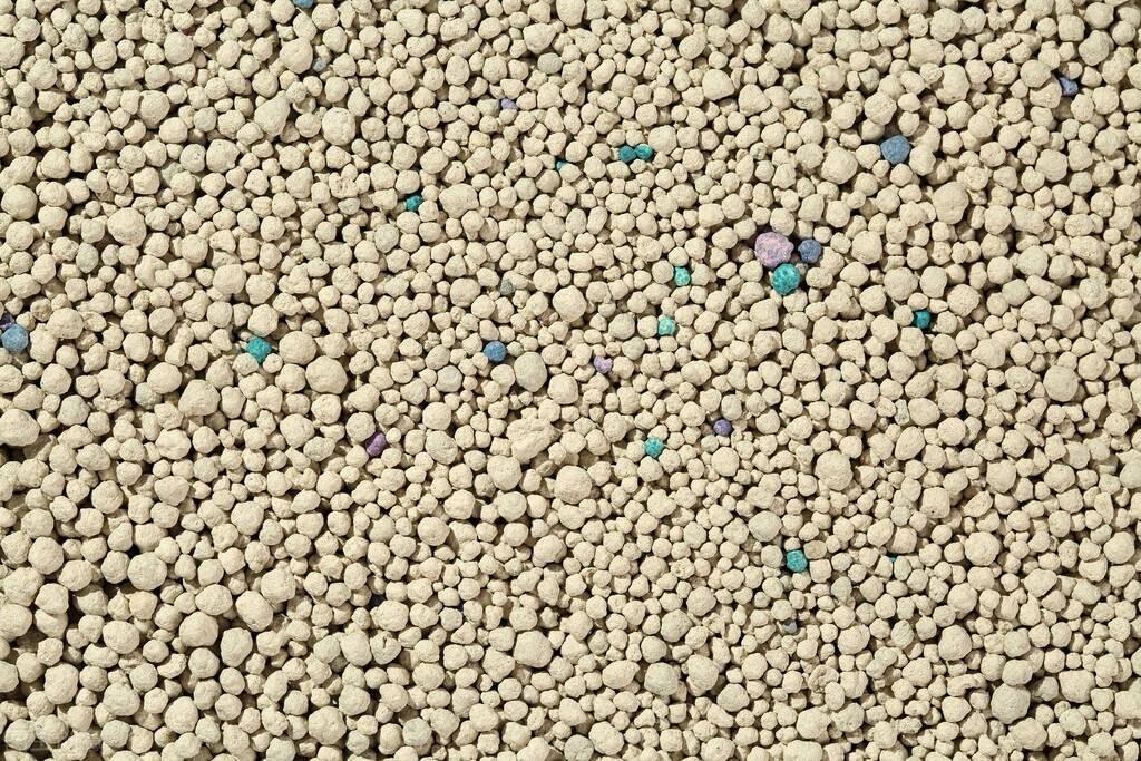 怎么样用猫砂最节省?猫砂怎么用比较节省?(图3)