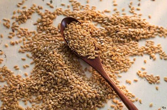 狗狗得了这5种病,这5种食物可让它自愈(狗狗病的很严重了,有什么办法)(图4)