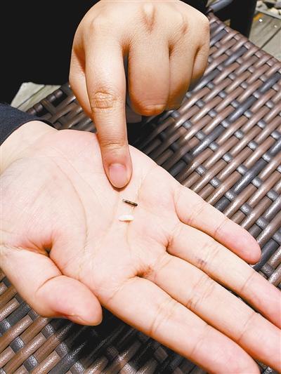 你愿意给狗狗一个“芯”身份吗?(狗狗芯片要钱吗)(图2)