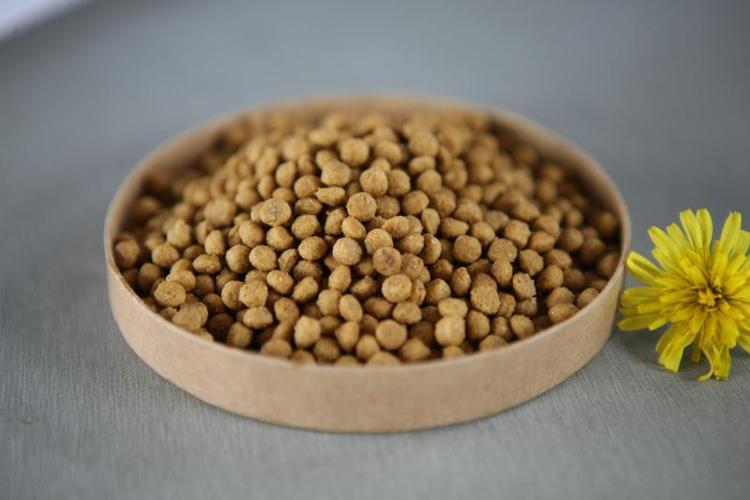 喂猫粮就能万事大吉?改善猫咪饮食的技巧分享(图3)